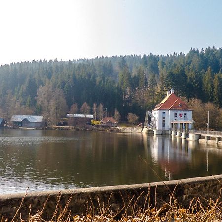Ferienhaus Nr 18B1, Feriendorf Hagbuegerl, Bayr Wald Waldmünchen Exteriér fotografie